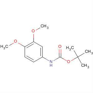 3,4-二甲氧基苯基氨基甲酸叔丁酯结构式_102421-43-2结构式