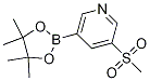 5-(Methylsulfonyl)pyridine-3-boronic acid pinacol esterStructure,1206641-26-0Structure 5-(Methylsulfonyl)pyridine-3-boronic acid pinacol ester Structure,1206641-26-0Structure