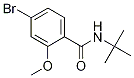 N-叔丁基-4-溴-2-甲氧基苯甲酰胺结构式_1257665-14-7结构式