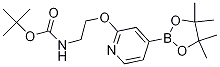 1346697-27-5结构式