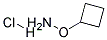 137270-23-6结构式
