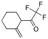 (9ci)-2,2,2-三氟-1-(2-亚甲基环己基)-乙酮结构式_163882-74-4结构式