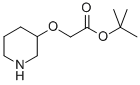 2-(哌啶-3-基氧基)乙酸叔丁酯结构式_166953-53-3结构式