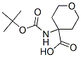 172843-97-9结构式