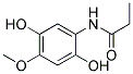 (9CI)-N-(2,5-二羟基-4-甲氧基苯基)-丙酰胺结构式_186293-62-9结构式