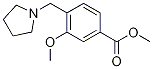 3-甲氧基-4-[(1-吡咯烷)甲基]苯甲酸甲酯结构式_193964-75-9结构式