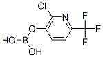 205240-63-7结构式