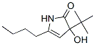 (9ci)-5-丁基-3-(1,1-二甲基乙基)-1,3-二氢-3-羟基-2H-吡咯-2-酮结构式_210972-58-0结构式