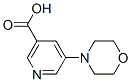 5-吗啉-4-基烟酸结构式_263270-06-0结构式