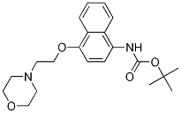 (4-(2-吗啉乙氧基)萘-1-基)氨基甲酸叔丁酯结构式_285984-35-2结构式