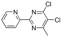 4,5-二氯-6-甲基-2-(2-吡啶基)嘧啶结构式_306935-55-7结构式