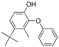 4-[2-(1,1-二甲基乙基)-5-甲基苯氧基]苯酚结构式_307000-42-6结构式