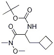 N-[1-(环丁基甲基)-2-(甲氧基甲基氨基)-2-氧代乙基]-氨基甲酸1,1-二甲基乙酯结构式_394735-18-3结构式
