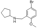 N-(5-溴-2-甲氧基苄基)环戊胺结构式_418779-19-8结构式