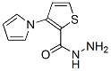 (9ci)-3-(1H-吡咯-1-基)-2-噻吩羧酸肼结构式_478050-34-9结构式