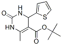 (9CI)-1,2,3,4-四氢-6-甲基-2-氧代-4-(2-噻吩)-5-嘧啶羧酸 1,1-二甲基乙酯结构式_500268-74-6结构式