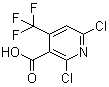 503437-19-2结构式