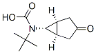 (2-甲基-2-丙基)[(1R,5S,6R)-3-氧代双环[3.1.0]己-6-基]氨基甲酸结构式_504438-04-4结构式