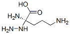 Alpha-hydrazinoornithineStructure,50865-98-0Structure Alpha-hydrazinoornithine Structure,50865-98-0Structure