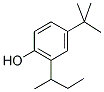 2-仲基-4-叔丁基苯酚结构式_51390-14-8结构式