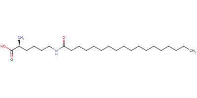 N6-(1-氧代十八基)-l-赖氨酸结构式_52616-32-7结构式