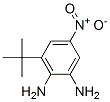 3-(1,1-二甲基乙基)-5-硝基-1,2-苯二胺结构式_56861-05-3结构式