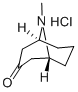 6164-62-1结构式
