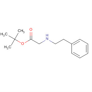 2-(苯乙基氨基)乙酸叔丁酯结构式_66937-52-8结构式