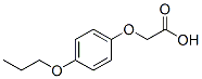 713509-19-4结构式