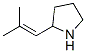 (+)-(9CI)-2-(2-甲基-1-丙烯基)-吡咯烷结构式_770735-43-8结构式