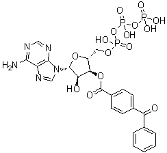 Bzatp结构式_81790-82-1结构式