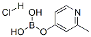 861905-97-7结构式