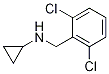 892569-22-1结构式