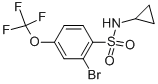 N-环丙基-2-溴-4-三氟甲氧基苯磺酰胺结构式_957062-79-2结构式