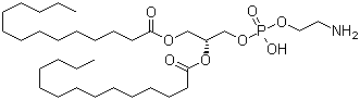 998-07-2结构式