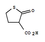 (9ci)-四氢-2-氧代-3-噻吩羧酸结构式_222046-78-8结构式