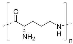 ε-多聚赖氨酸结构式_28211-04-3结构式