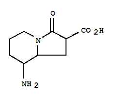 2-Indolizinecarboxylicacid,8-aminooctahydro-3-oxo-(9ci) Structure