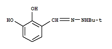 (9ci)-2,3-二羟基-,(1,1-二甲基乙基)肼酮苯甲醛结构式_389610-37-1结构式