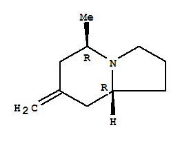 (5r,8ar)-(9ci)-八氢-5-甲基-7-亚甲基-吲哚嗪结构式_727985-42-4结构式