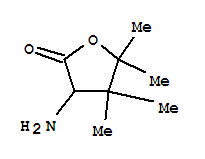 (9ci)-3-氨基二氢-4,4,5,5-四甲基-2(3H)-呋喃酮结构式_747359-10-0结构式