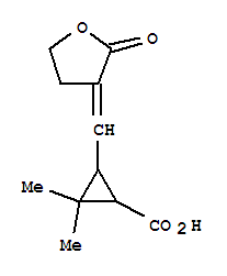 (9ci)-3-[(二氢-2-氧代-3(2H)-呋喃)甲基]-2,2-二甲基-环丙烷羧酸结构式_790612-67-8结构式