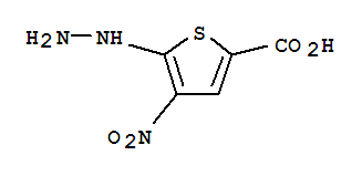 (7ci)-5-肼基-4-硝基-2-噻吩羧酸结构式_88511-62-0结构式