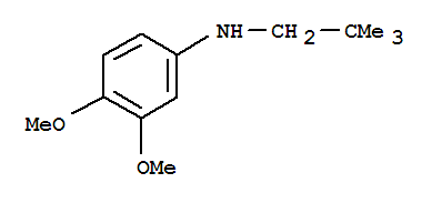 (2,2-二甲基丙基)-(3,4-二甲氧基苯基)-胺结构式_887588-12-7结构式