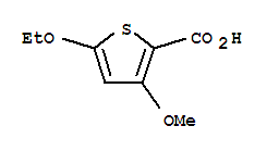 (9ci)-5-乙氧基-3-甲氧基-2-噻吩羧酸结构式_95202-08-7结构式