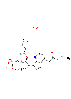 N-6,O-2-二丁基腺苷酸 3:5-CYCLIC MONOPHOSPHATE钠SALT结构式_123334-06-5结构式