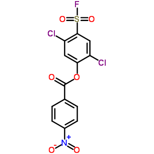 2,5-二氯-4-[(4-硝基苯甲酰基)氧基]-苯磺酰氟结构式_23383-86-0结构式