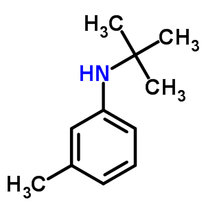 N-叔丁基-3-甲基苯甲酰胺结构式_42498-33-9结构式