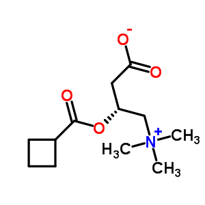 环丁烷羰基肉碱结构式_51220-40-7结构式