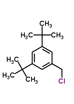 1,3-二-叔丁基-5-(氯甲基)苯结构式_51625-14-0结构式